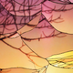 Illustration for article titled This Isn't Stained Glass, It's A Miracle Of Optics